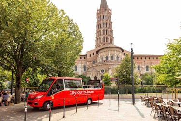 Stadstour door Toulouse in panoramische minibus